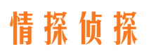 高台侦探公司